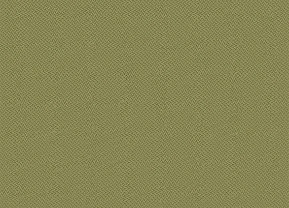 Блитц Олива Вр3.17 Блитц Олива Вр3.17